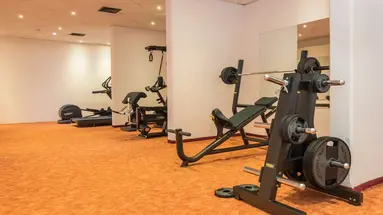 HOTEL HEDERA****