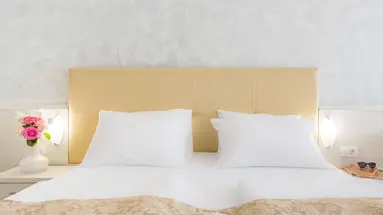 HOTEL HEDERA****