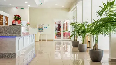 HOTEL HEDERA****