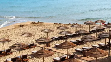 Hotel High Beach