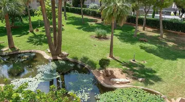 HOTEL HIPOTELS MARFIL PLAYA