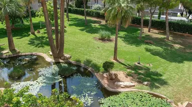 HOTEL HIPOTELS MARFIL PLAYA