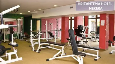 Hotel Hrizantema