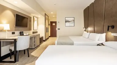 Hotel ILUNION Malaga
