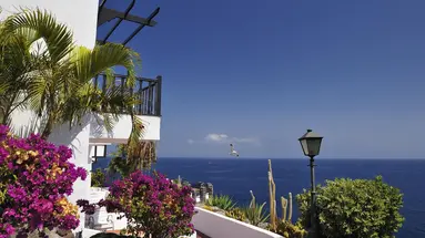 Hotel Jardin Tecina