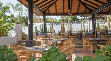 Hotel Jardin Tropical