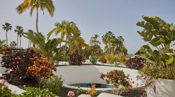 Hotel Jardin Tropical