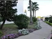 Hotel Jinene