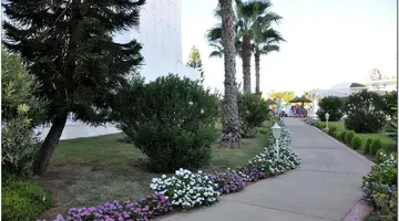 Hotel Jinene