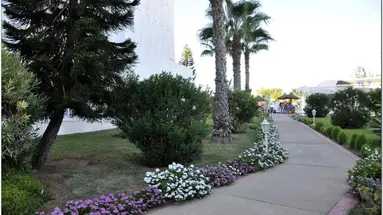 Hotel Jinene