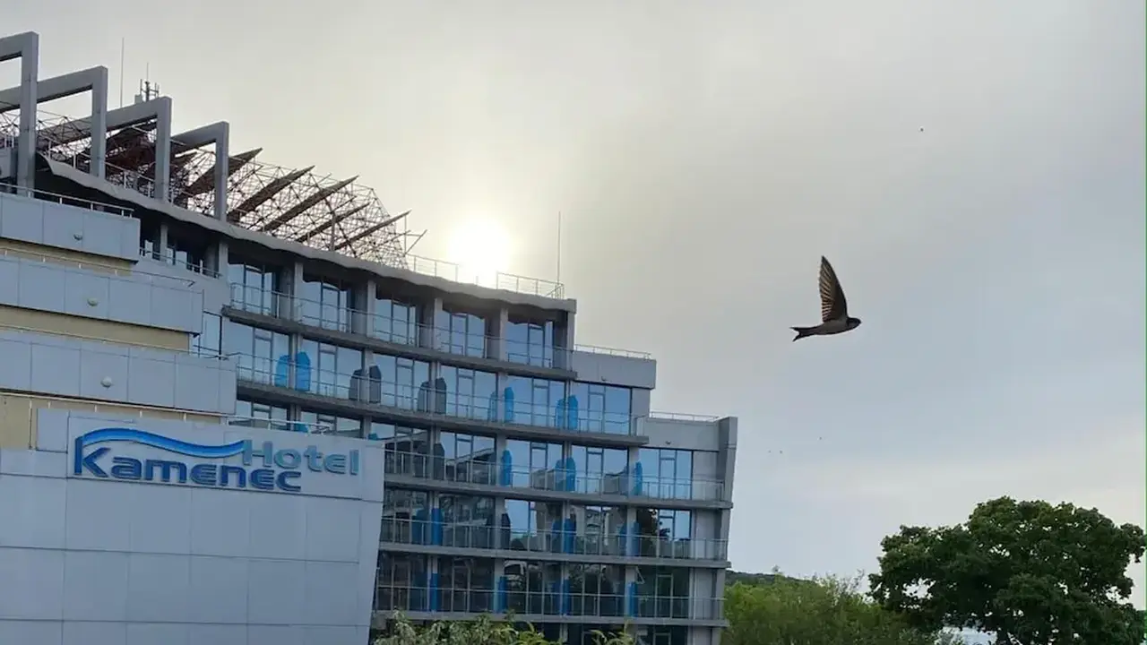 Hotel Kamenec - Kiten
