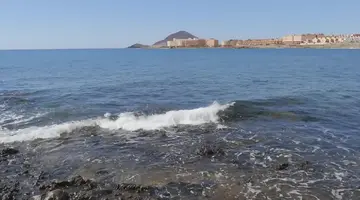 Hotel Kn Arenas del Mar Beach & Spa (Adults Only)