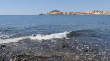 Hotel Kn Arenas del Mar Beach & Spa (Adults Only)