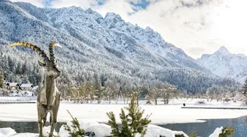 Hotel Kranjska Gora