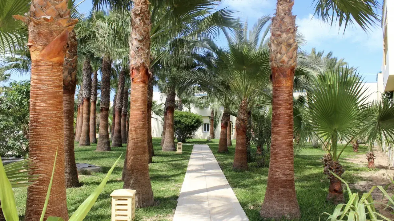 Hotel Ksar Djerba