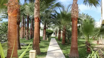 Hotel Ksar Djerba