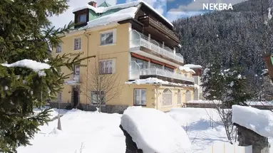 Hotel Lindenhof