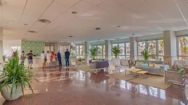 Hotel LIVVO Koala Garden