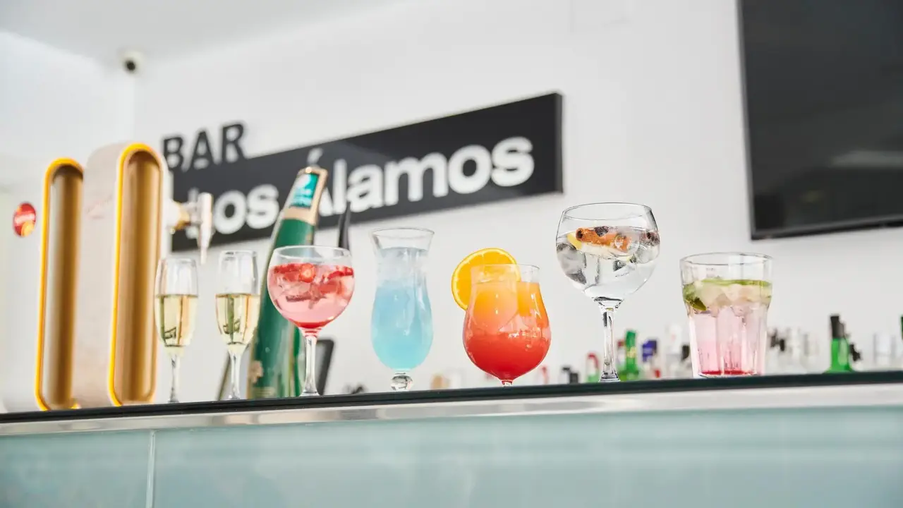 Hotel Los Alamos Playa Benidorm