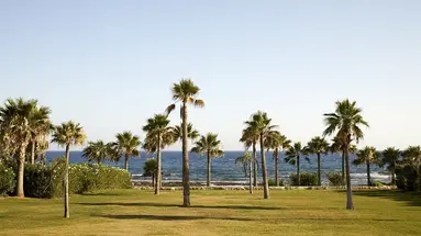 Hotel Mare Ayia Napa