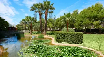HOTEL MARFIL PLAYA