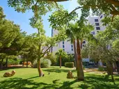 HOTEL MARFIL PLAYA