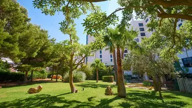 HOTEL MARFIL PLAYA