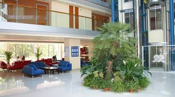 Hotel Marina Palace Affiliated by Melia (ex Sol Marina Palace)