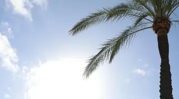 HOTEL MIAMI CALELLA