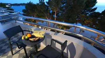 Hotel Milenij