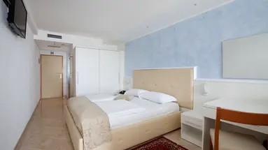HOTEL MIMOSA - LIDO PALACE****
