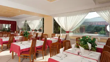 HOTEL MIMOSA - LIDO PALACE****