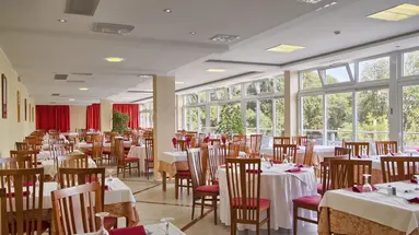 Hotel Mimosa - Lido Palace