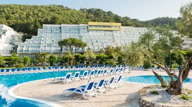 HOTEL MIMOSA - LIDO PALACE****