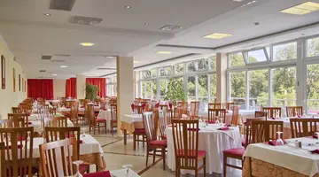 HOTEL MIMOSA - LIDO PALACE****