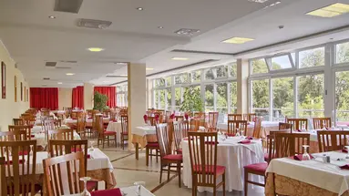 HOTEL MIMOSA - LIDO PALACE****