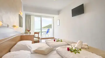 Hotel Mimosa - Lido Palace