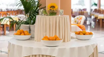 Hotel Mimosa - Lido Palace