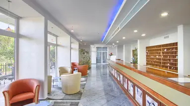 Hotel Mimosa - Lido Palace