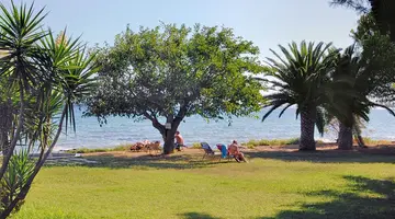 Hotel Mimoza Beach