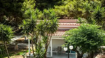 Hotel Mimoza Beach