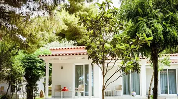 Hotel Mimoza Beach
