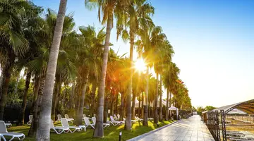 Hotel Miramare Beach