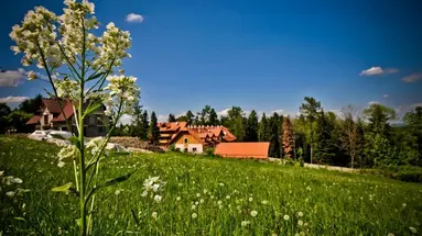 Hotel Modrzewiówka