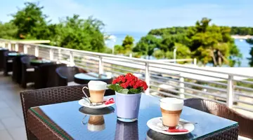 Hotel Molindrio Plava Laguna