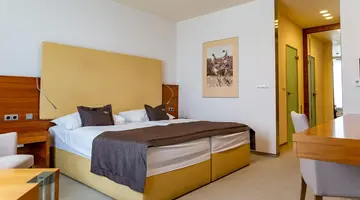 Hotel Mountain View