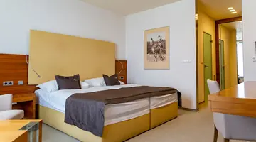Hotel Mountain View