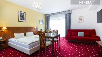 Hotel Mozart