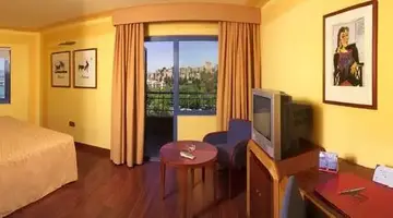 HOTEL MS MAESTRANZA