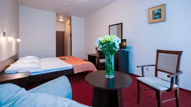 Hotel NAT Ustron